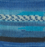 Пряжа Alize Superwash 100 4446